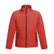Softshell Noah