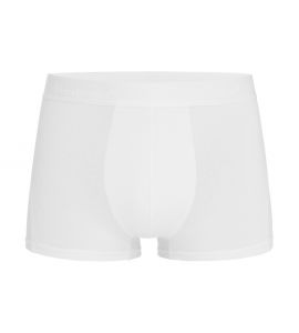 Boxer Alessandro