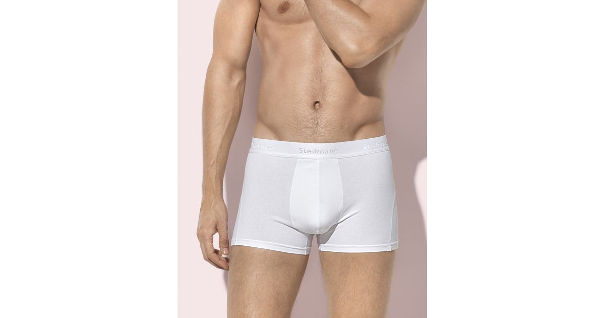Boxer Alessandro