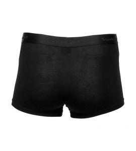 Boxer Alessandro