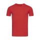 Tricou Morgan