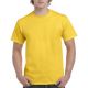 Tricou Iulian