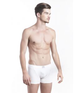 Boxer Cornel