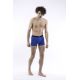 Boxer Cornel