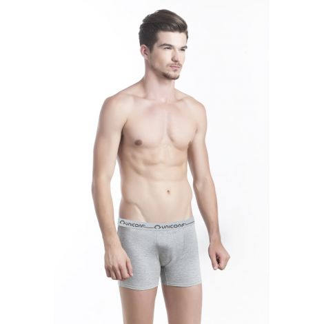 Boxer Lung Dylan