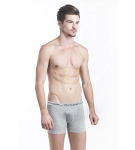 Boxer Lung Dylan