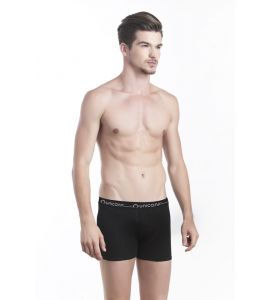 Boxer Lung Dylan