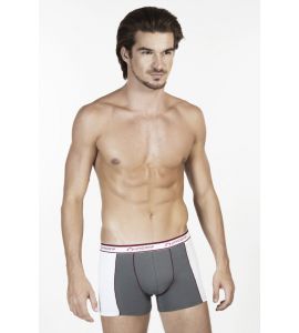 Boxer Cosmin