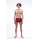 Boxer Daniel
