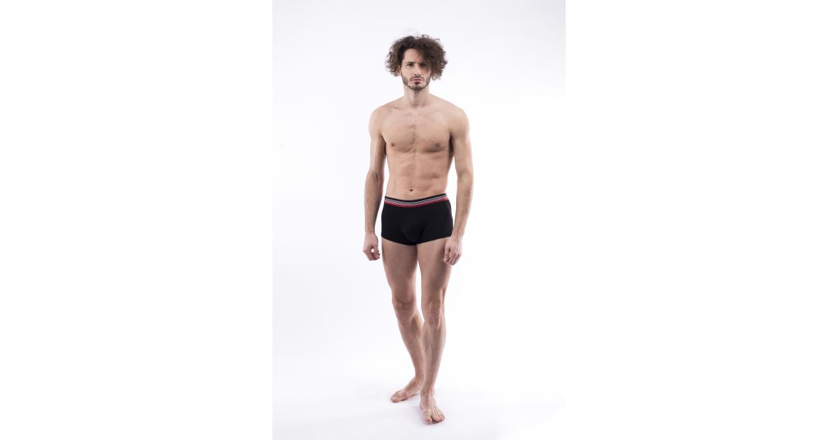 Boxer Daniel