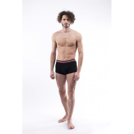 Boxer Daniel