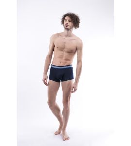 Boxer Daniel