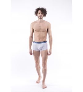 Boxer Daniel