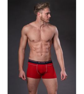 Boxer Sandu