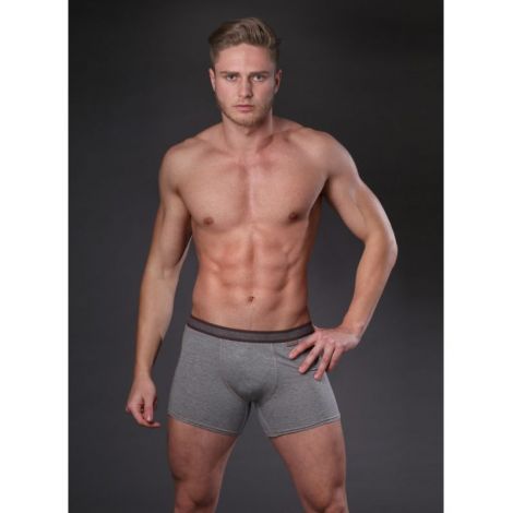 Boxer Fabian