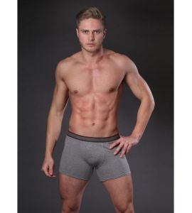 Boxer Fabian