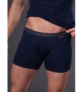 Boxer Fabian