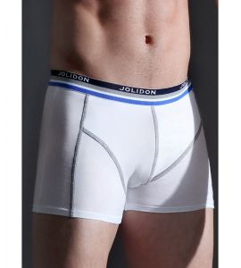 Boxer Codrut