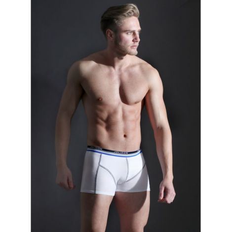 Boxer Codrut