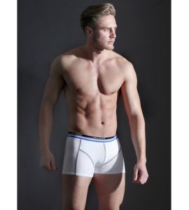 Boxer Codrut