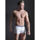 Boxer Codrut