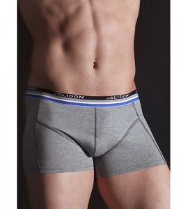Boxer Codrut