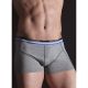 Boxer Codrut