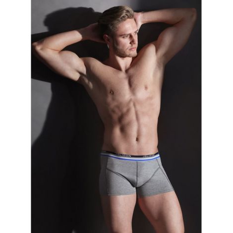 Boxer Codrut