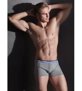 Boxer Codrut