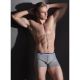 Boxer Codrut