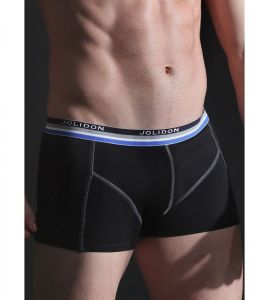 Boxer Codrut