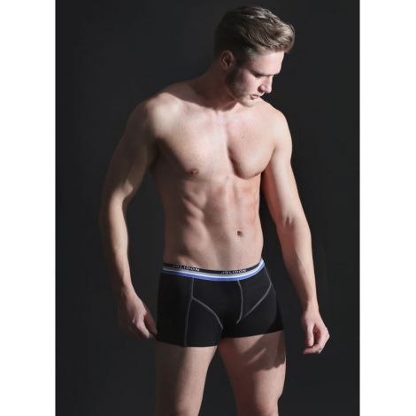 Boxer Codrut