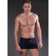 Boxer Dorin