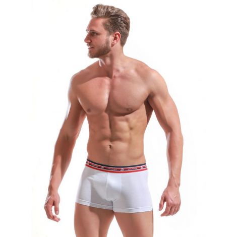 Boxer Alexander