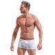 Boxer Alexander