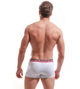 Boxer Alexander