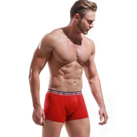 Boxer Alexander
