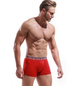 Boxer Alexander