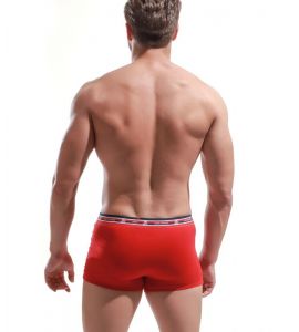 Boxer Alexander