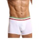 Boxer Damian